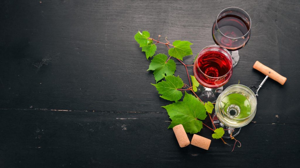 que hacer en una cata de vino